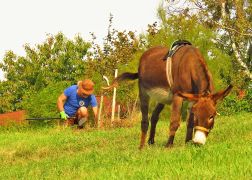 Jenaer Freiwilligentag 2020 0004